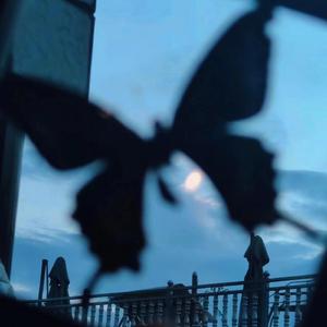 美女全身裸露着露出奶头无遮挡网站
